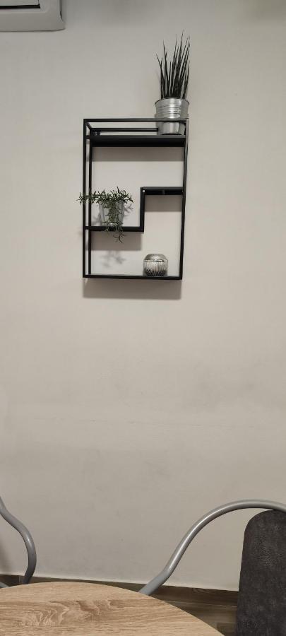 Apartment Damir 普拉 外观 照片